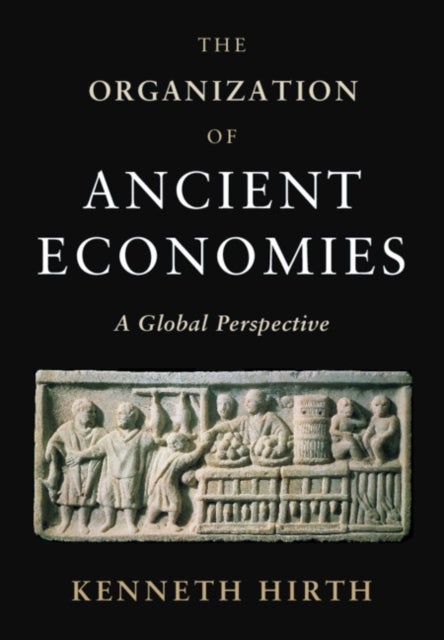 The Organization of Ancient Economies - A Global Perspective