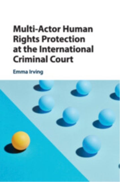 Multi-Actor Human Rights Protection at the International Criminal Court