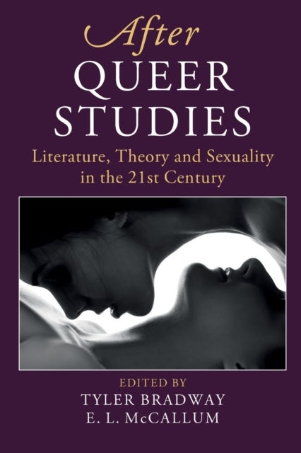 After Queer Studies - Literature, Theory and Sexuality in the 21st Century