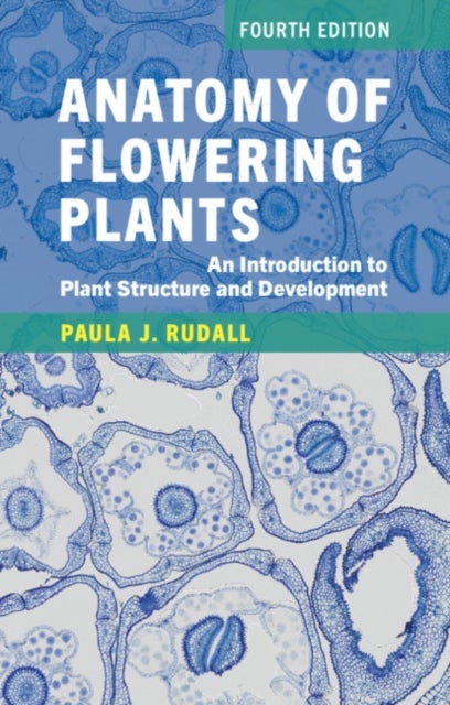 Anatomy of Flowering Plants - An Introduction to Plant Structure and Development