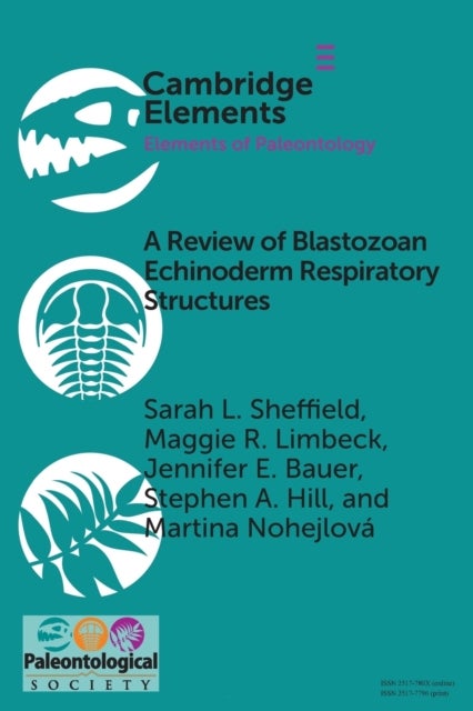 A Review of Blastozoan Echinoderm Respiratory Structures