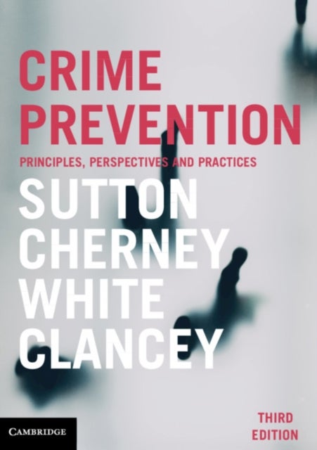 Crime Prevention - Principles, Perspectives and Practices