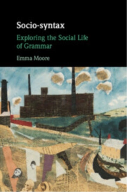 Socio-syntax - Exploring the Social Life of Grammar
