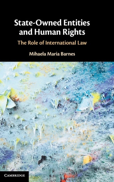 State-Owned Entities and Human Rights - The Role of International Law