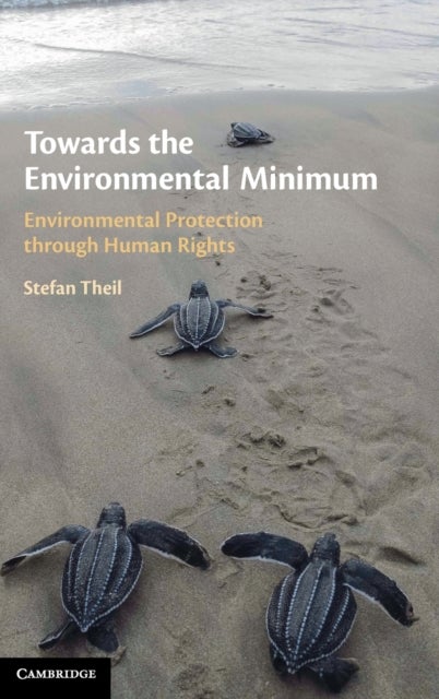 Towards the Environmental Minimum - Environmental Protection through Human Rights