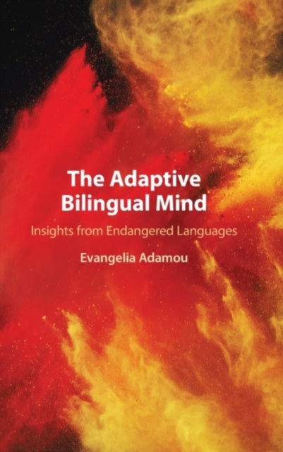 The Adaptive Bilingual Mind - Insights from Endangered Languages