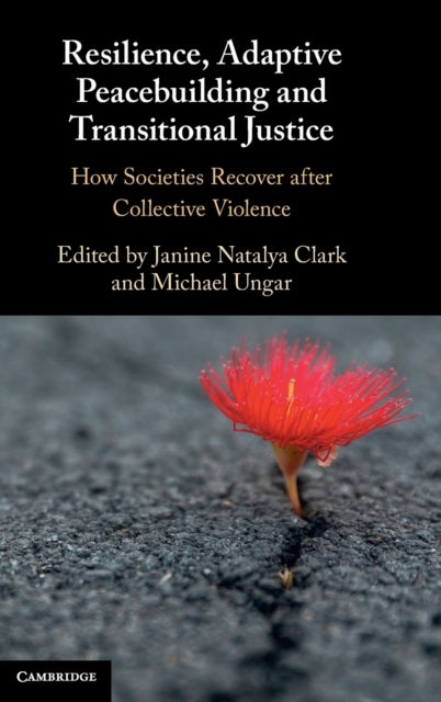 Resilience, Adaptive Peacebuilding and Transitional Justice - How Societies Recover after Collective Violence