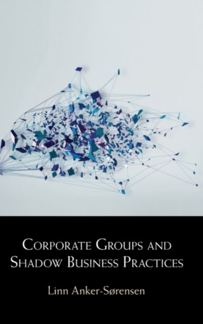 Corporate Groups and Shadow Business Practices