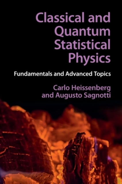 Classical and Quantum Statistical Physics - Fundamentals and Advanced Topics