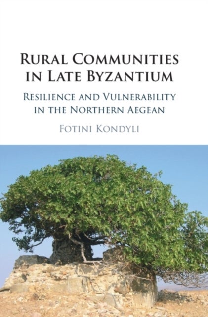 Rural Communities in Late Byzantium - Resilience and Vulnerability in the Northern Aegean