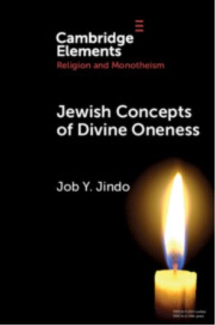 Jewish Concepts of Divine Oneness - A Comparative Introduction