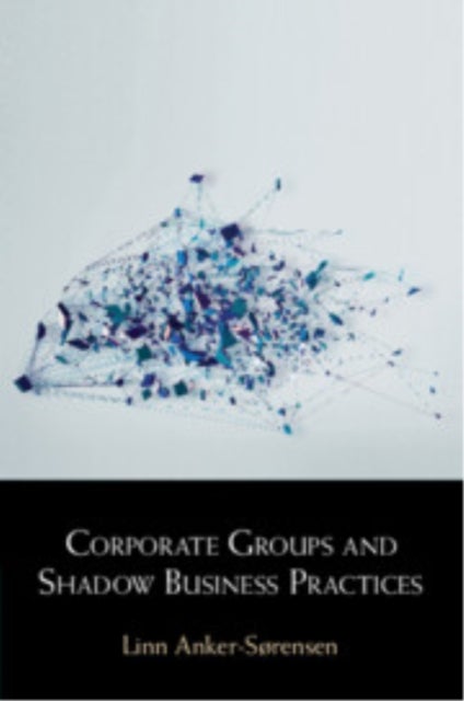 Corporate Groups and Shadow Business Practices