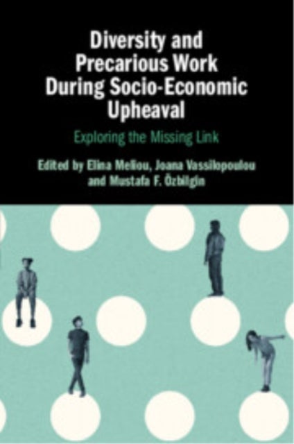 Diversity and Precarious Work During Socio-Economic Upheaval - Exploring the Missing Link