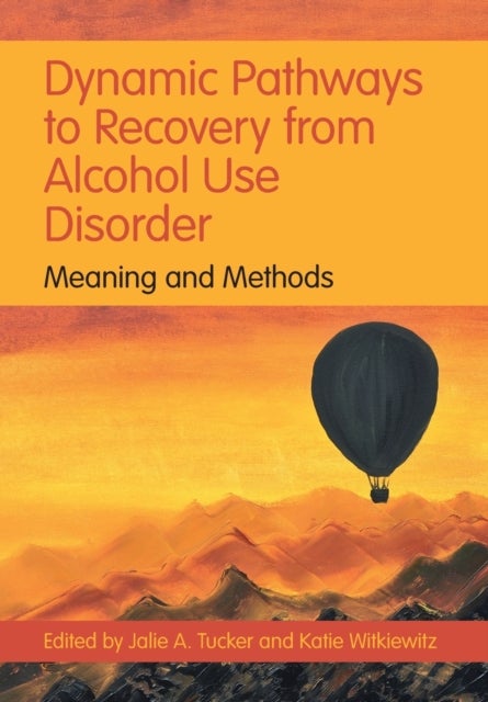 Dynamic Pathways to Recovery from Alcohol Use Disorder - Meaning and Methods