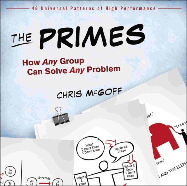 The Primes - How Any Group Can Solve Any Problem