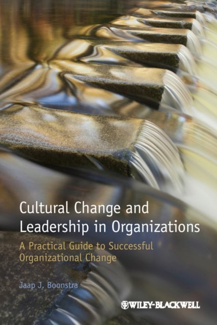 Cultural Change and Leadership in Organizations - A Practical Guide to Successful Organizational Change