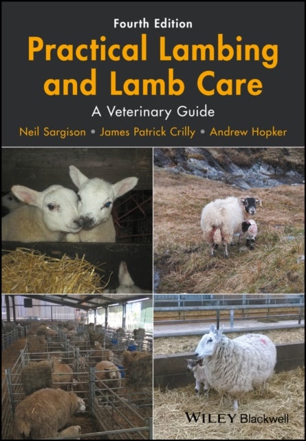 Practical Lambing and Lamb Care - A Veterinary Guide