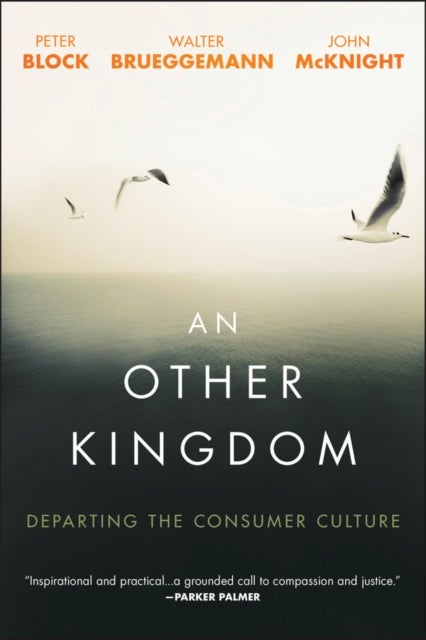 An Other Kingdom - Departing the Consumer Culture