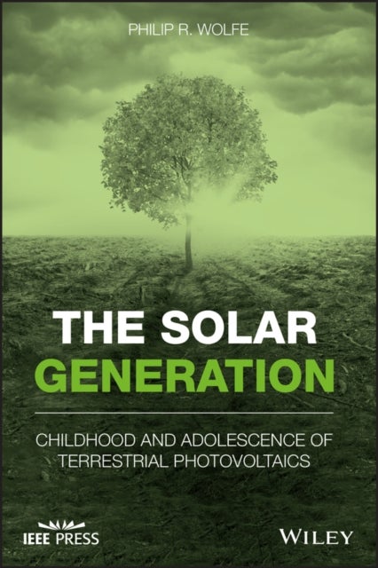 The Solar Generation - Childhood and Adolescence of Terrestrial Photovoltaics
