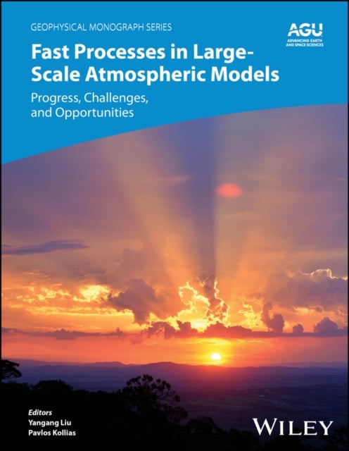 Fast Processes in Large-Scale Atmospheric Models - Progress, Challenges, and Opportunities