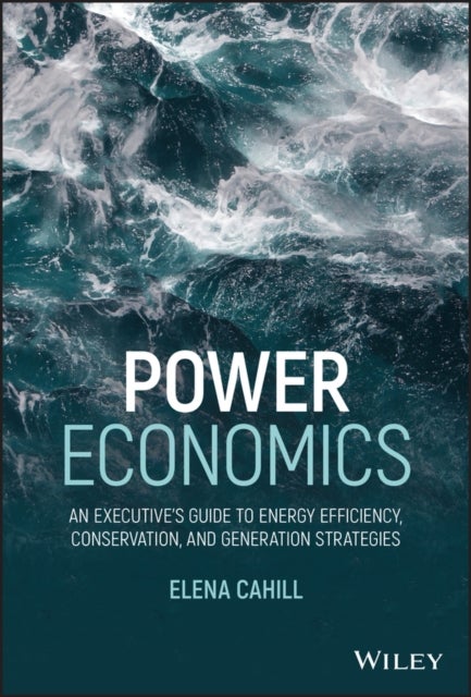 Power Economics - An Executive's Guide to Energy Efficiency, Conservation, and Generation Strategies