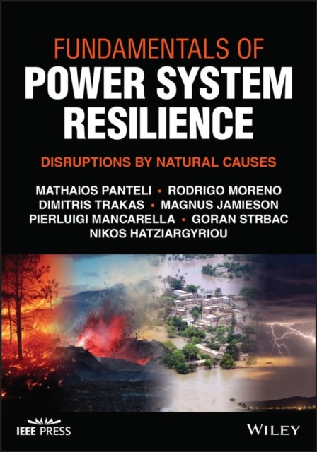 Fundamentals of Power System Resilience - Disruptions by Natural Causes