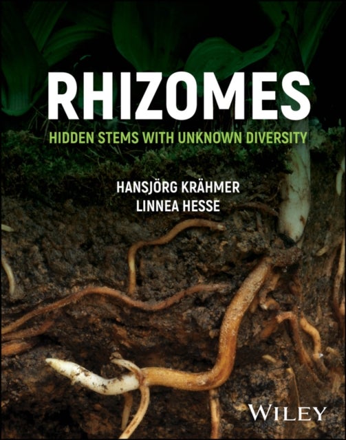 Rhizomes - Hidden Stems with Unknown Diversity