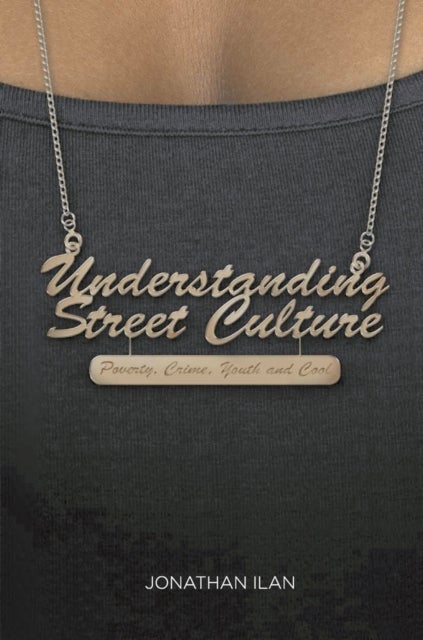 Understanding Street Culture - Poverty, Crime, Youth and Cool