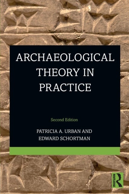 Archaeological Theory in Practice
