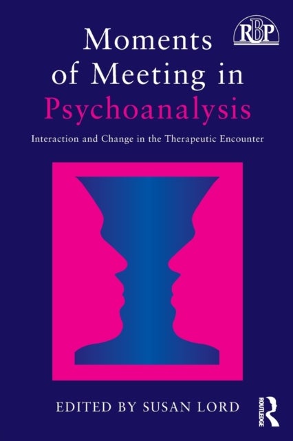 Moments of Meeting in Psychoanalysis - Interaction and Change in the Therapeutic Encounter