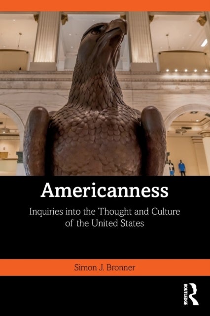Americanness - Inquiries into the Thought and Culture of the United States