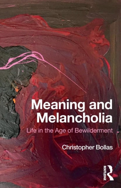 Meaning and Melancholia - Life in the Age of Bewilderment
