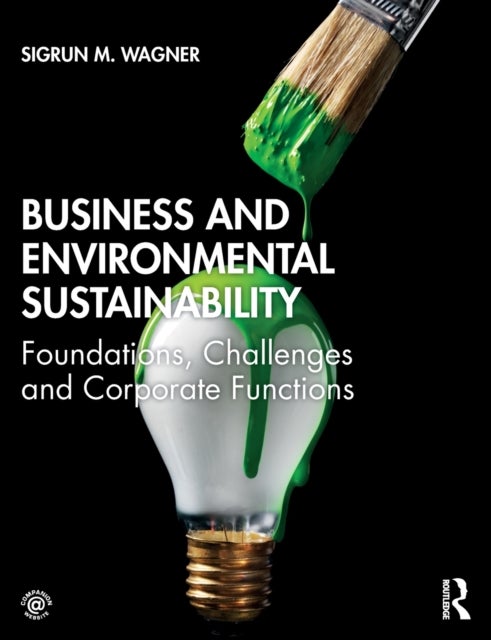 Business and Environmental Sustainability - Foundations, Challenges and Corporate Functions