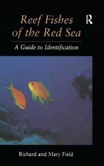 Reef Fish Of The Red Sea - A Guide to Identification