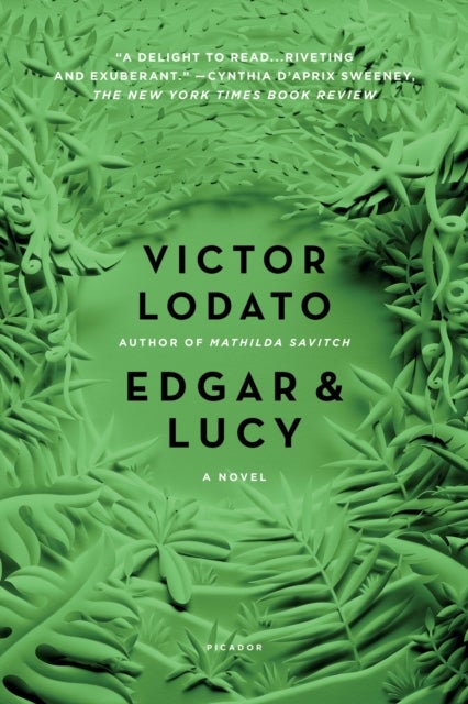 Edgar and Lucy - A Novel