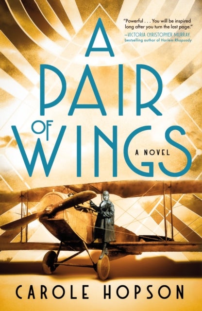 A Pair of Wings - A Novel