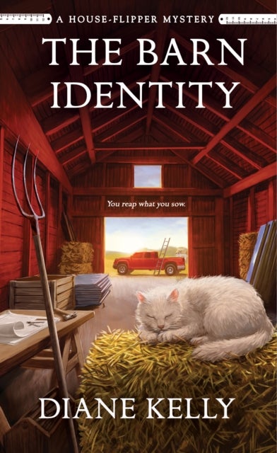 The Barn Identity - A House-Flipper Mystery