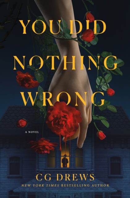 You Did Nothing Wrong - A Novel