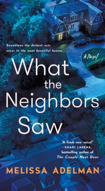 What the Neighbors Saw - A Novel