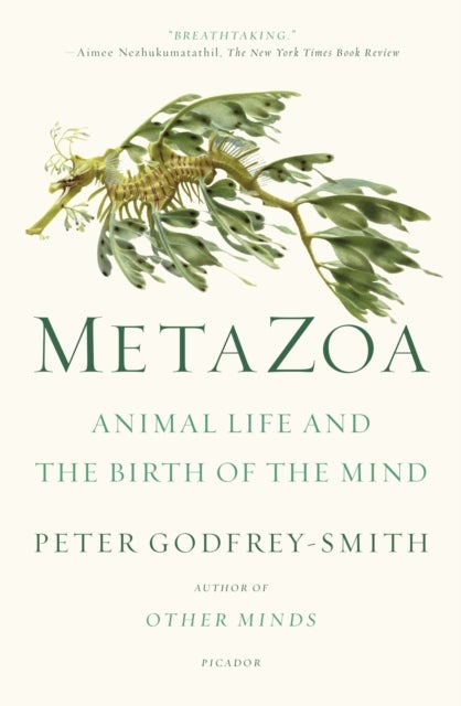 Metazoa - Animal Life and the Birth of the Mind