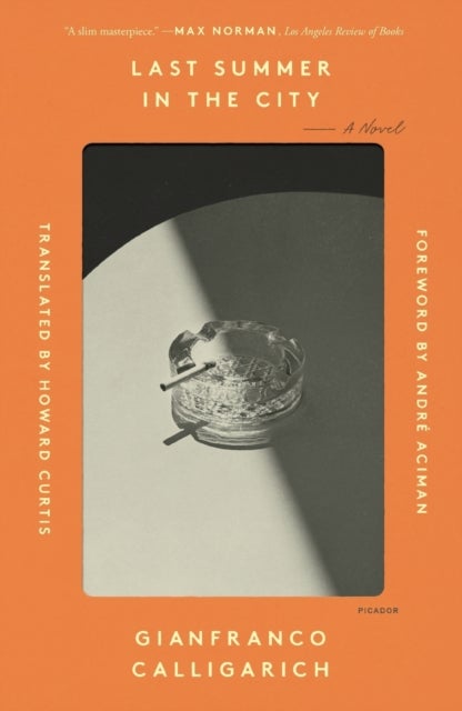 Last Summer in the City - A Novel