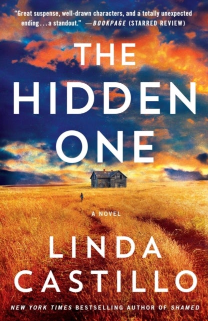 The Hidden One - A Novel of Suspense