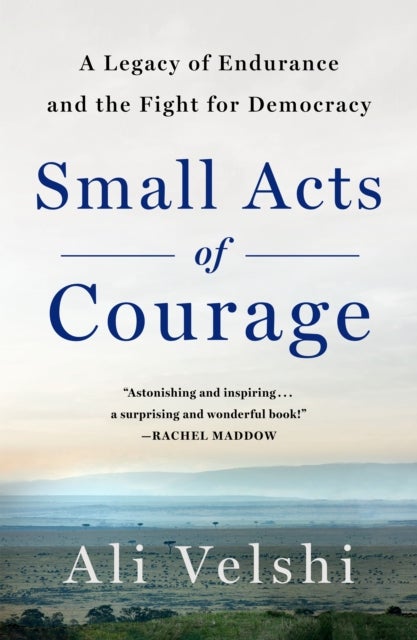 Small Acts of Courage - A Family's Legacy of Endurance and the Fight for Democracy