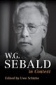 W. G. Sebald in Context
