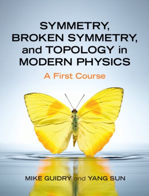 Symmetry, Broken Symmetry, and Topology in Modern Physics - A First Course