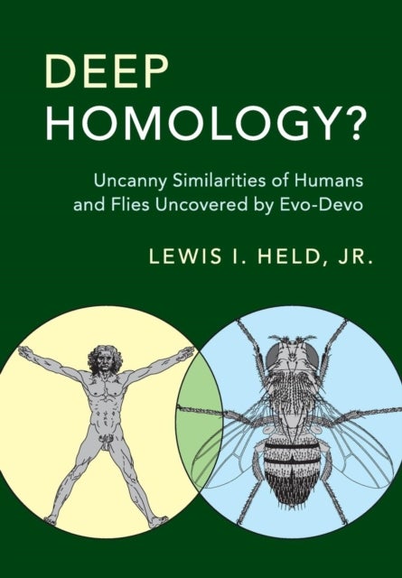 Deep Homology? - Uncanny Similarities of Humans and Flies Uncovered by Evo-Devo