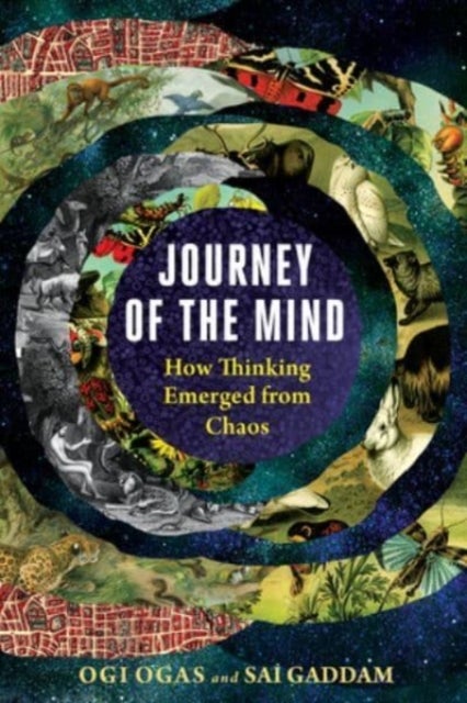 Journey of the Mind - How Thinking Emerged from Chaos