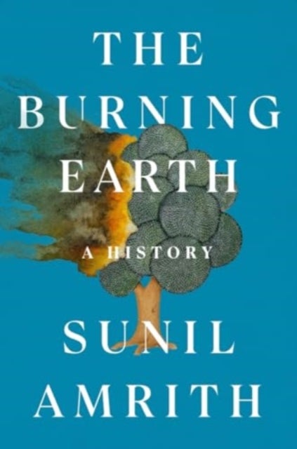 The Burning Earth - A History - A History