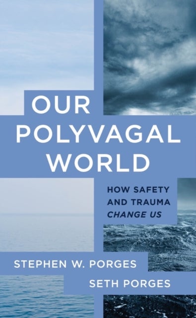 Our Polyvagal World - How Safety and Trauma Change Us