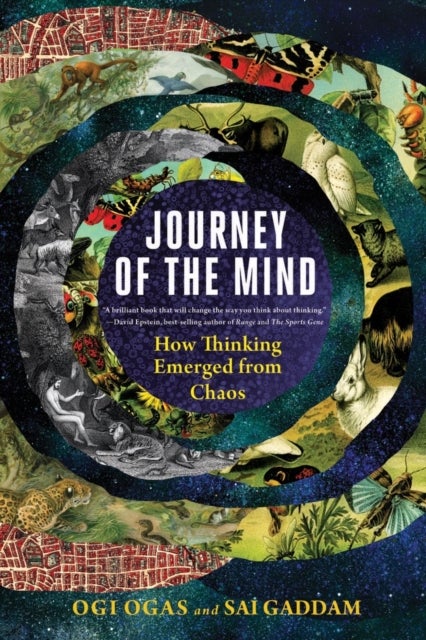 Journey of the Mind - How Thinking Emerged from Chaos